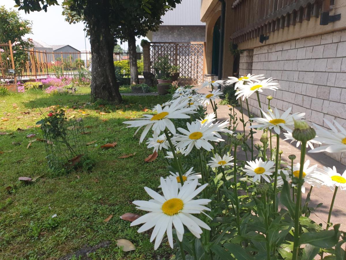 B&B Family Home Soresina Экстерьер фото