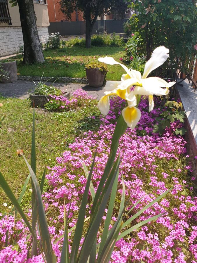 B&B Family Home Soresina Экстерьер фото